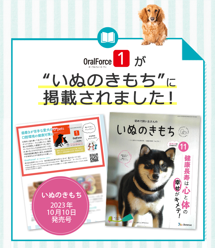 いぬのきもち10/10発売号に掲載されました