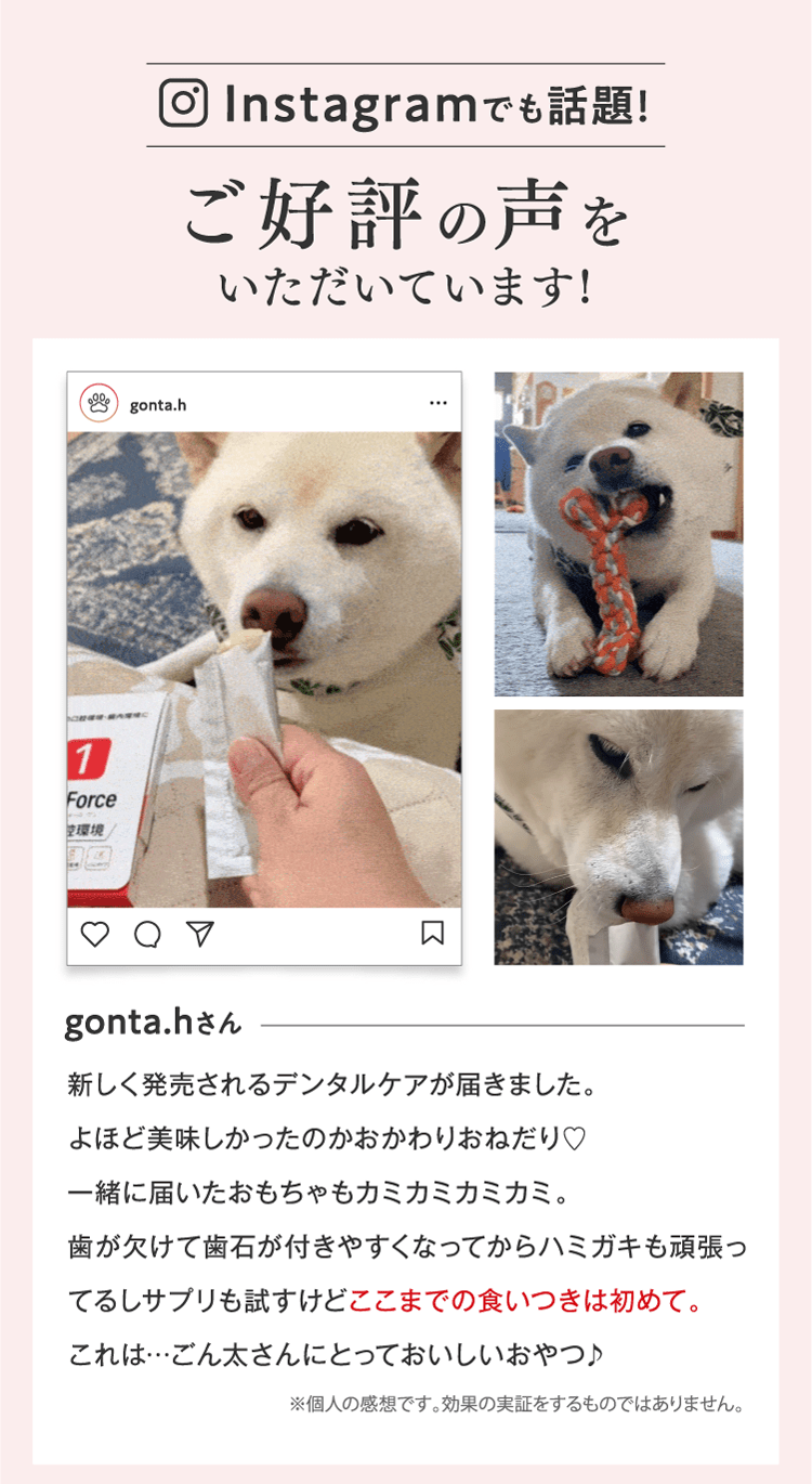 ご好評の声をいただいています