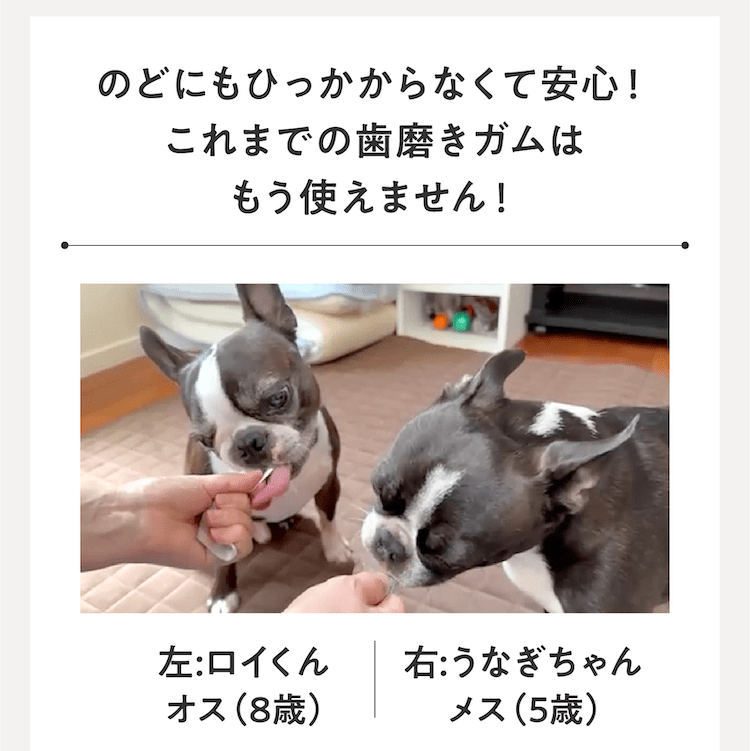 のどにもひっかからなくて安心!これまでの歯磨きガムはもう使えません!