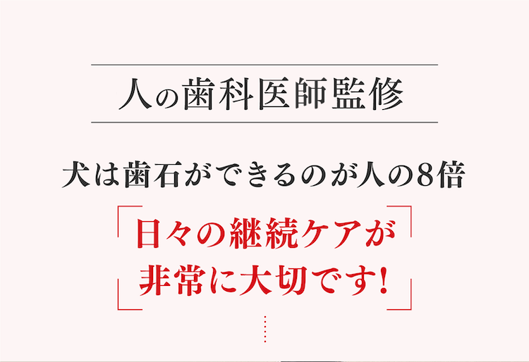 犬は歯石ができるのが人の8倍日々の継続ケアが非常に大切です!