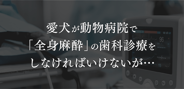 愛犬が動物病院で「全身麻酔」の歯科診療をしなければいけないが…