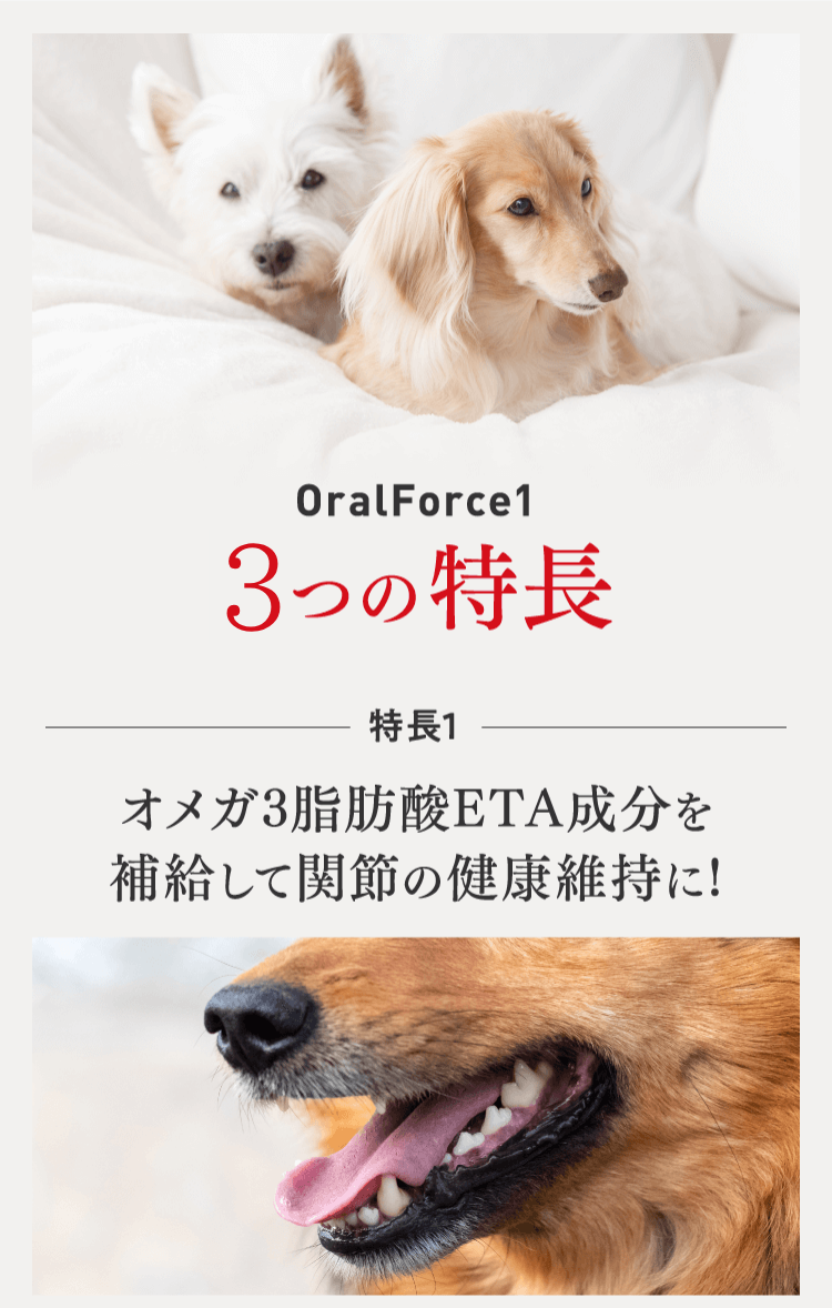 OralForce1 3つの特徴