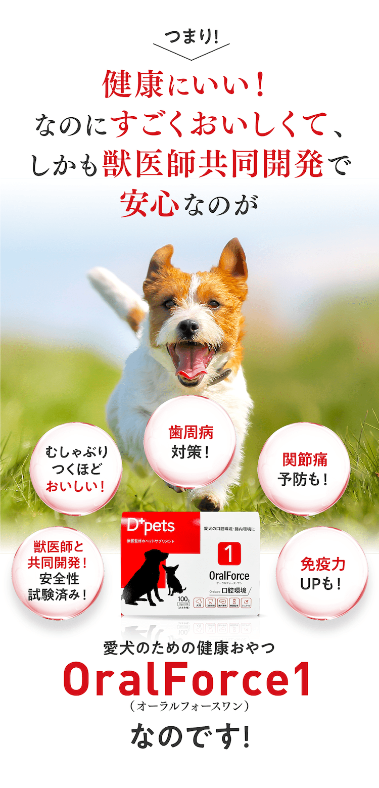 健康にいい!なのにすごくおいしくて、しかも獣医共同開発で安心なのがOrakFoce1なのです