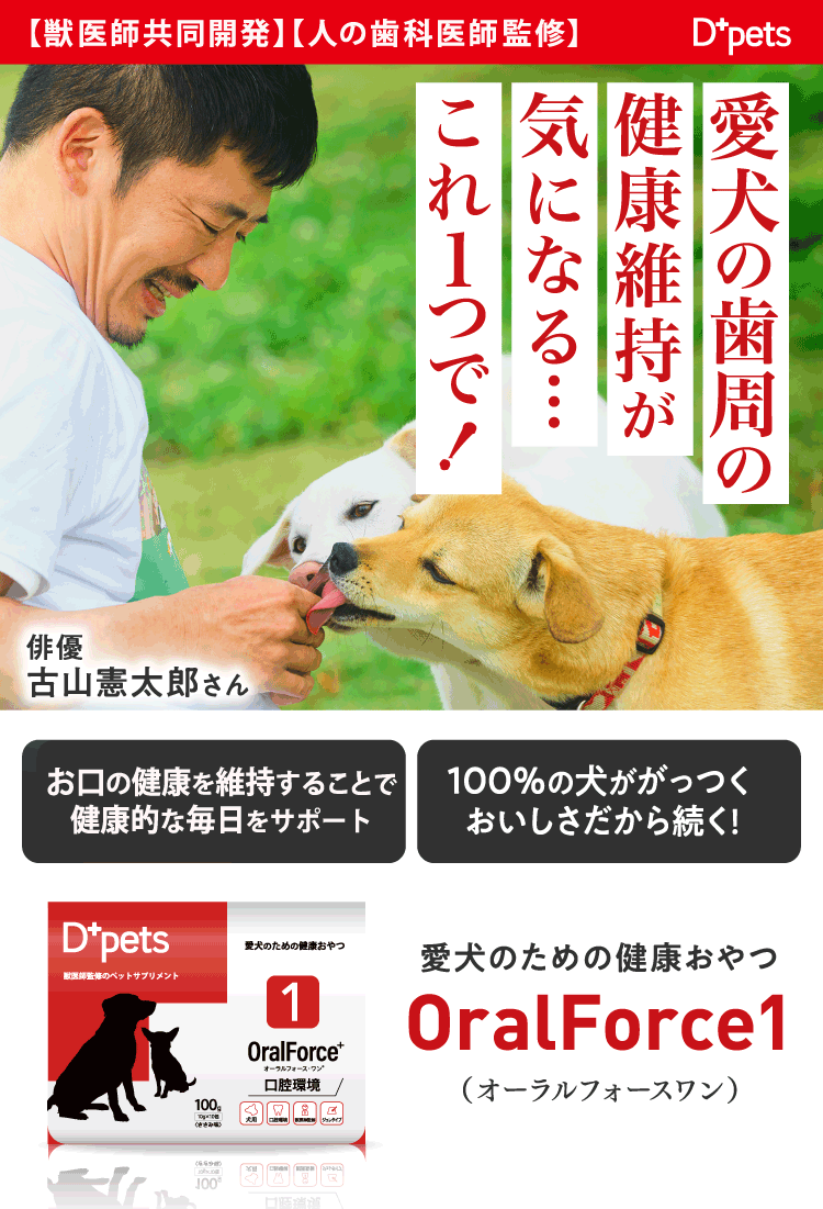 歯周病が不安な犬がこれ1つで!
