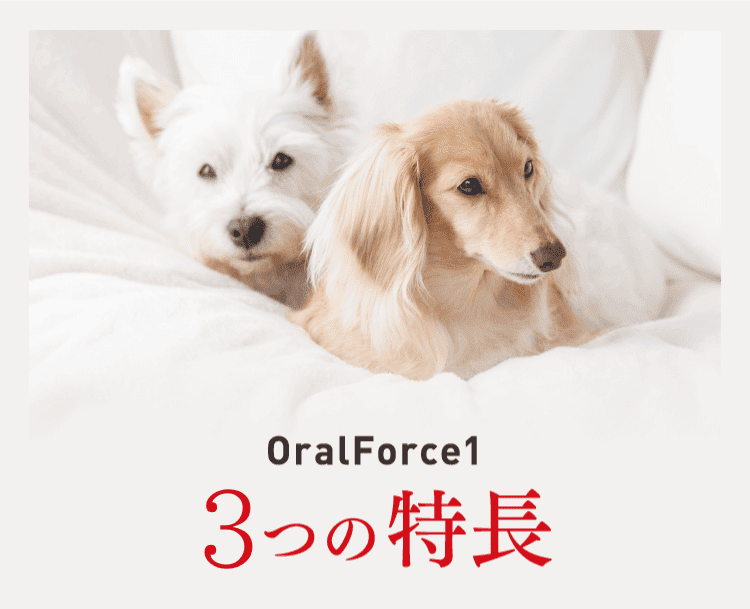 OralForce1 3つの特徴