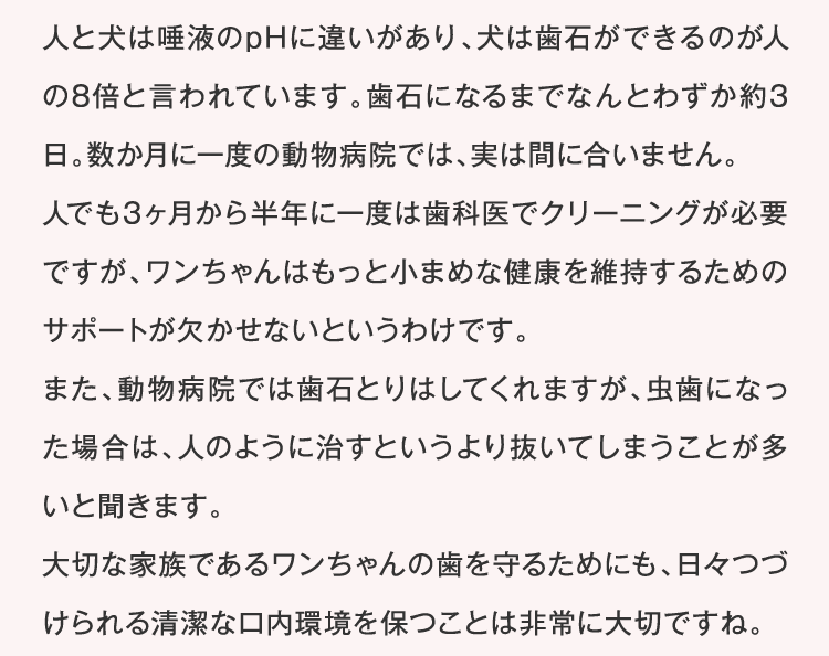 日々続けていきやすい嬉しいケアですね