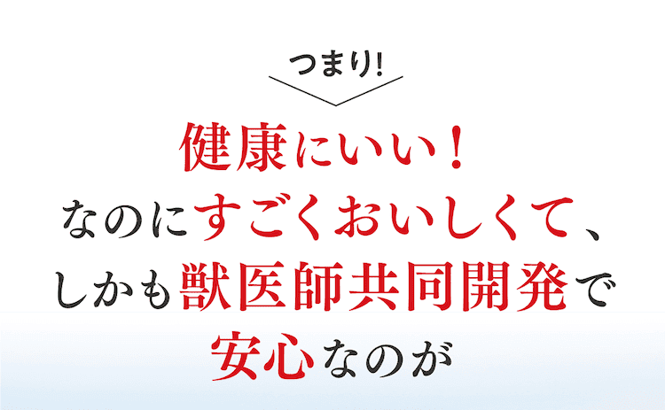 健康にいい!なのにすごくおいしくて、しかも獣医共同開発で安心なのがOrakFoce1なのです