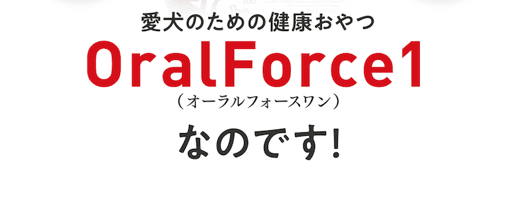 健康にいい!なのにすごくおいしくて、しかも獣医共同開発で安心なのがOrakFoce1なのです