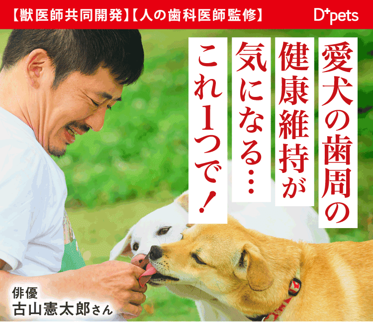 歯周病が不安な犬がこれ1つで!