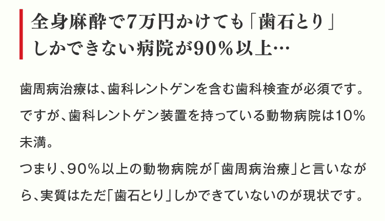 全身麻酔で7万円かけても「歯石とり」しかできない病院が90%以上…