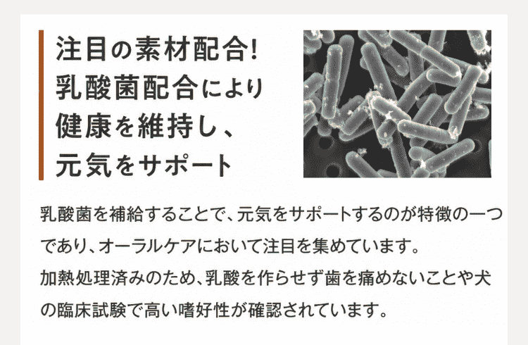 注目の免疫成分「KT-11」配合!唾液中の免疫成分が3倍以上増加!