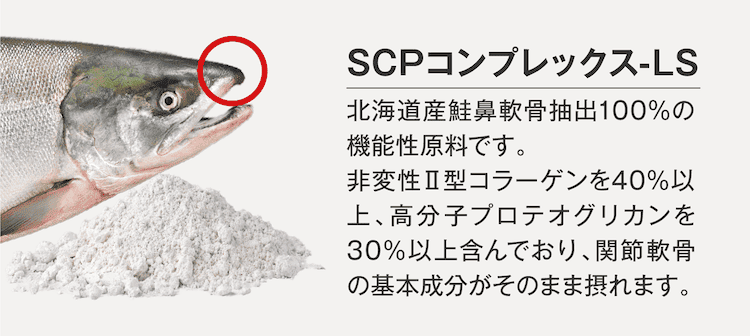 発酵グルコサミン、SCPコンプレックス-LS
