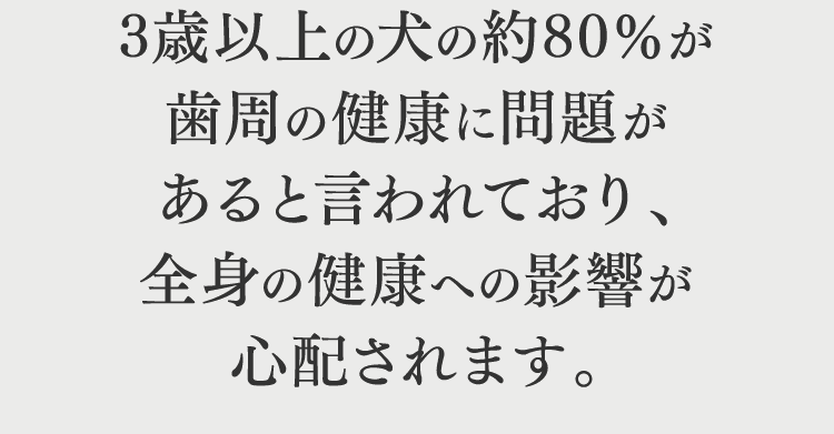 放置すると歯周病だけではなく深刻な病気のリスクまで…