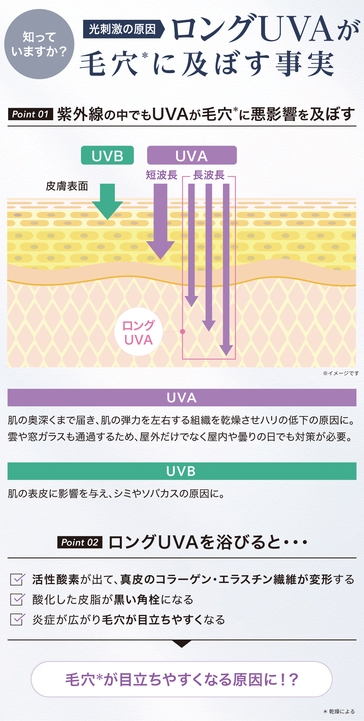 ロングUVAについて