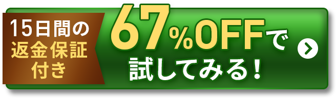 67%OFFで試してみる！
