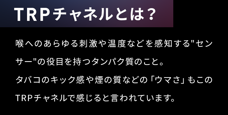 TRPチャンネルとは？