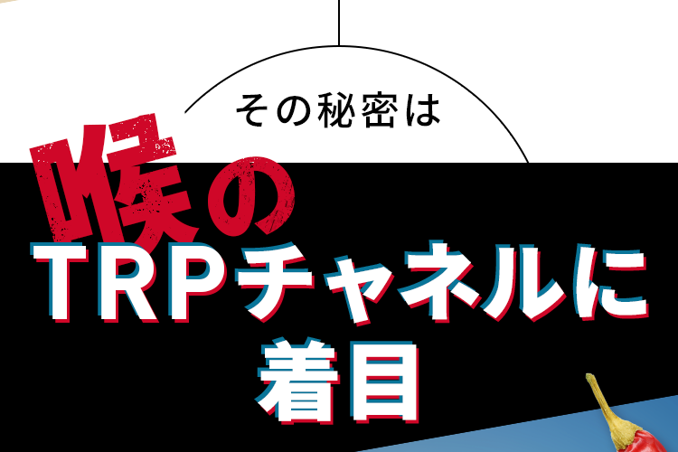 その秘密は喉のTRPチャンネルに着目