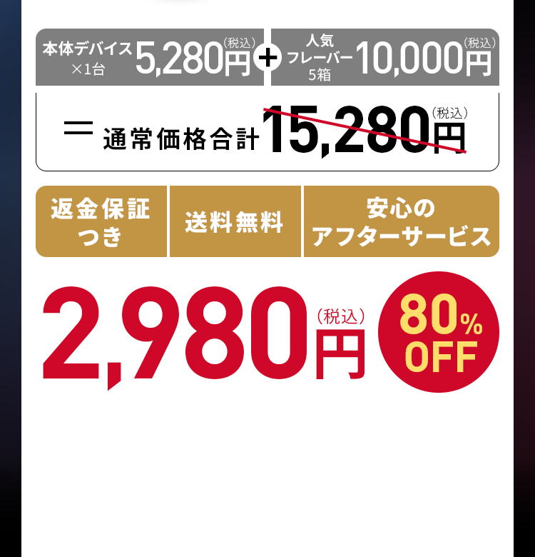 80%OFF 2,980円（税込）