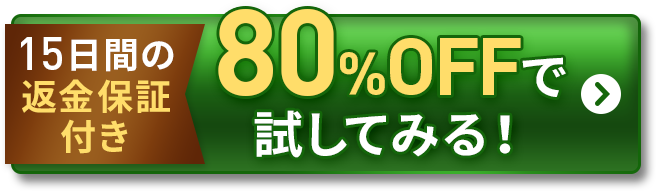 80%OFFで試してみる！