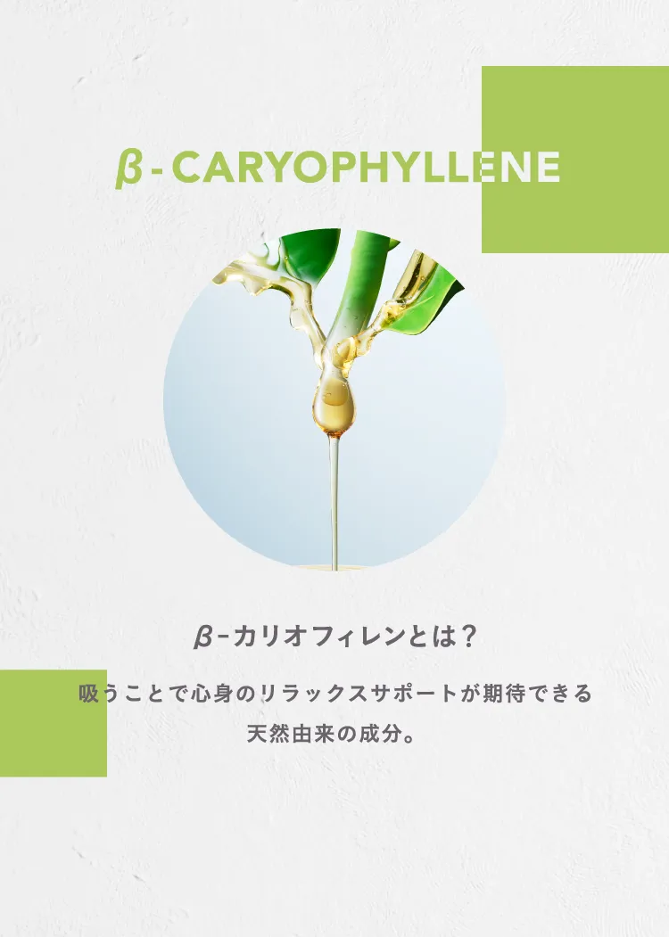 β-CARYOPHYLLENE