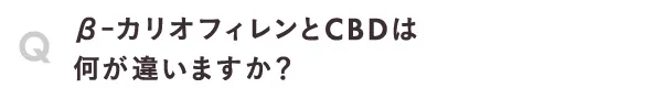 β‐カリオフィレンとCBDは何が違いますか？