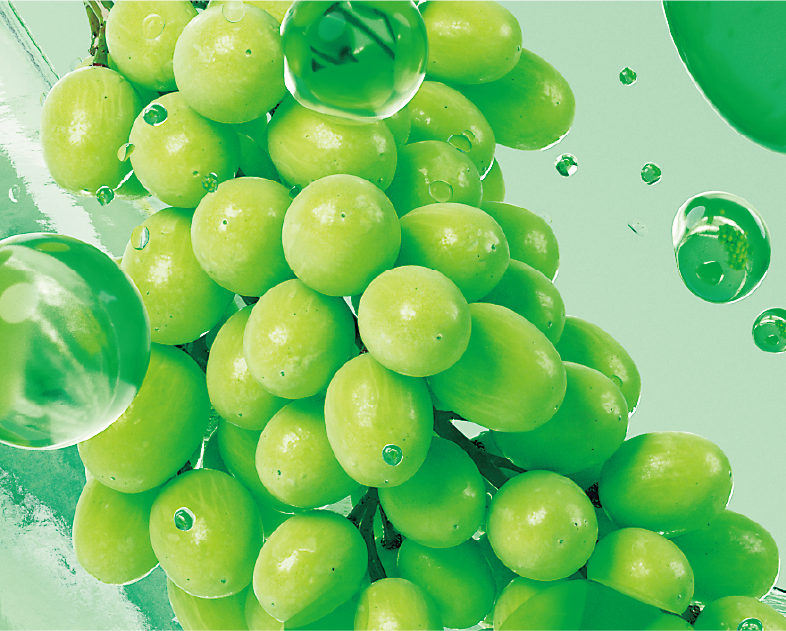 ジューシーマスカット