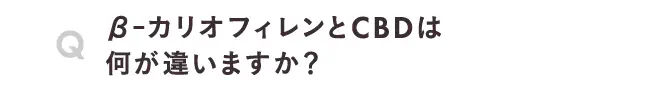 β-カリオフィレンとCBDは何が違いますか？
