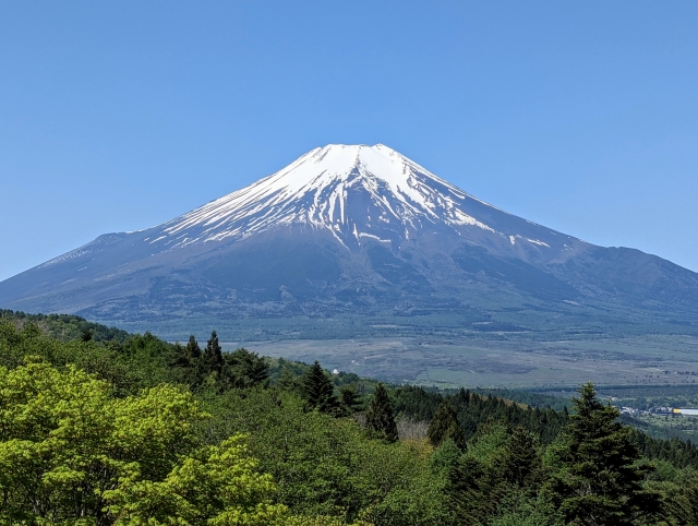 富士山と果樹園の風景