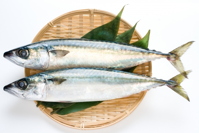 青魚の画像