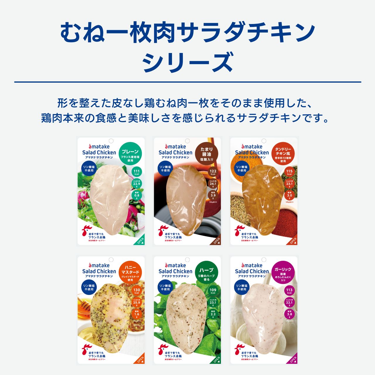 選べる定期便冷凍品21個セット 12%OFF
