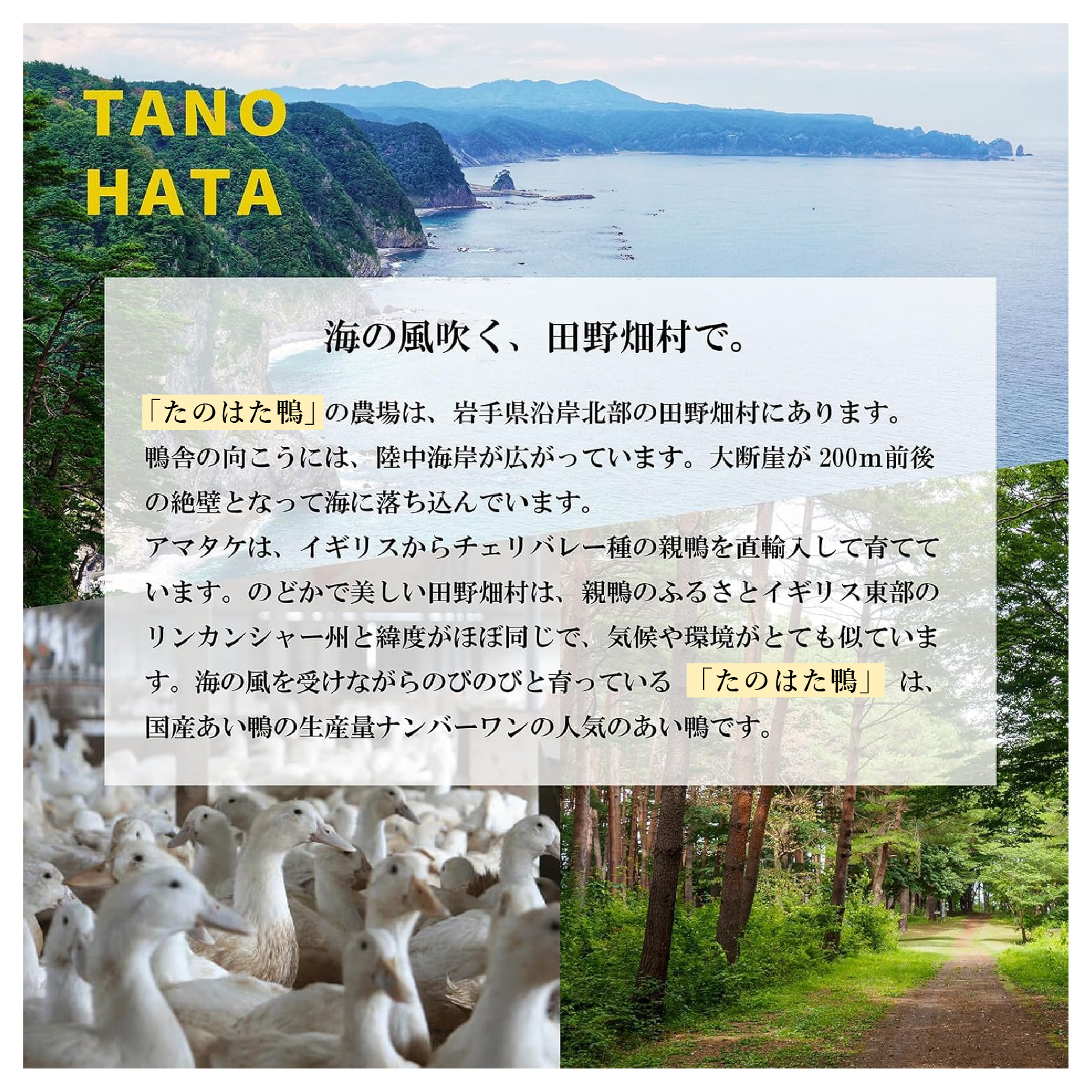 岩手三陸　たのはた鴨ガラスープ
