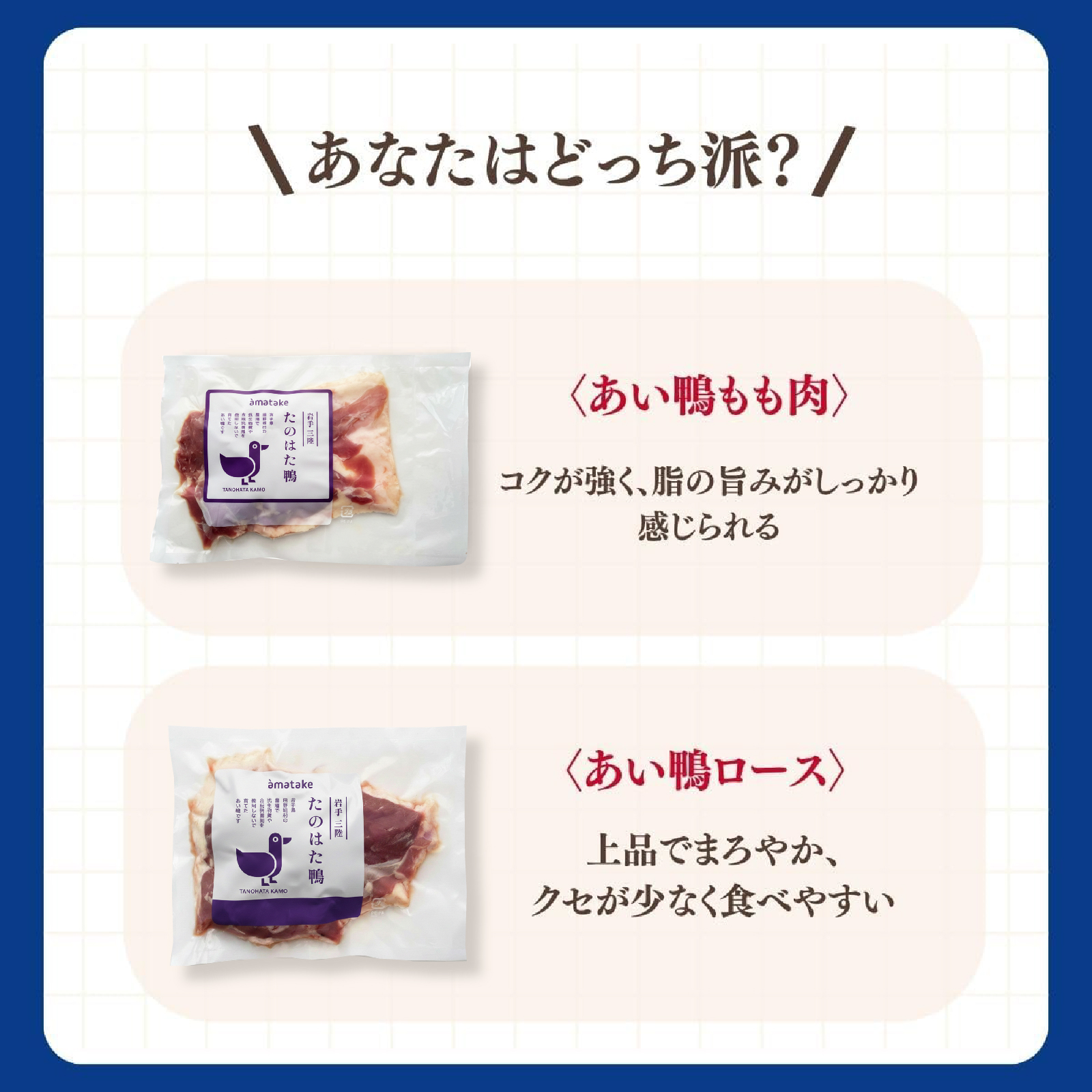 岩手三陸 たのはた鴨 むね肉1枚（450g）