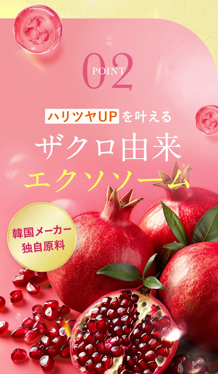 ザクロ由来「エクソソーム」