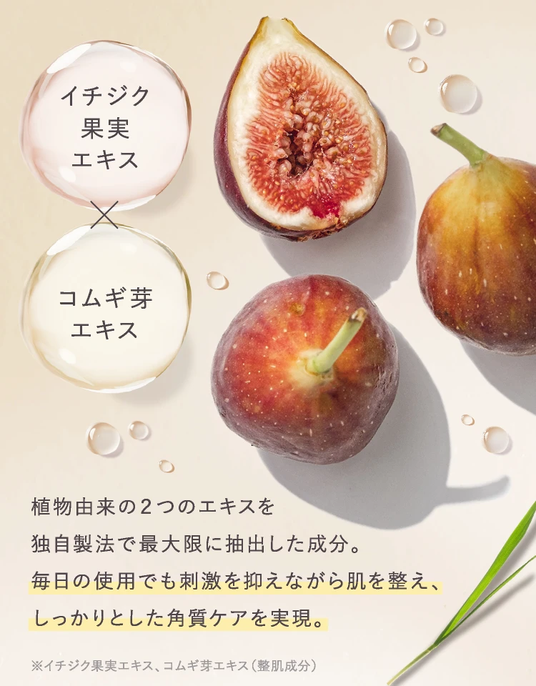 イチジク果実エキス、コムギ芽エキス