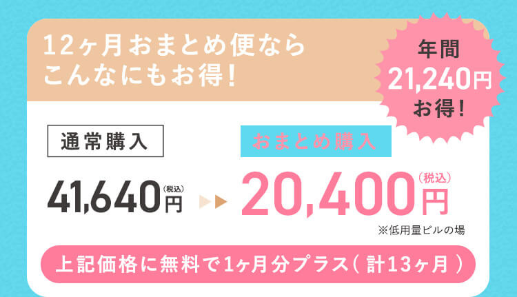 12ヶ月おまとめ便