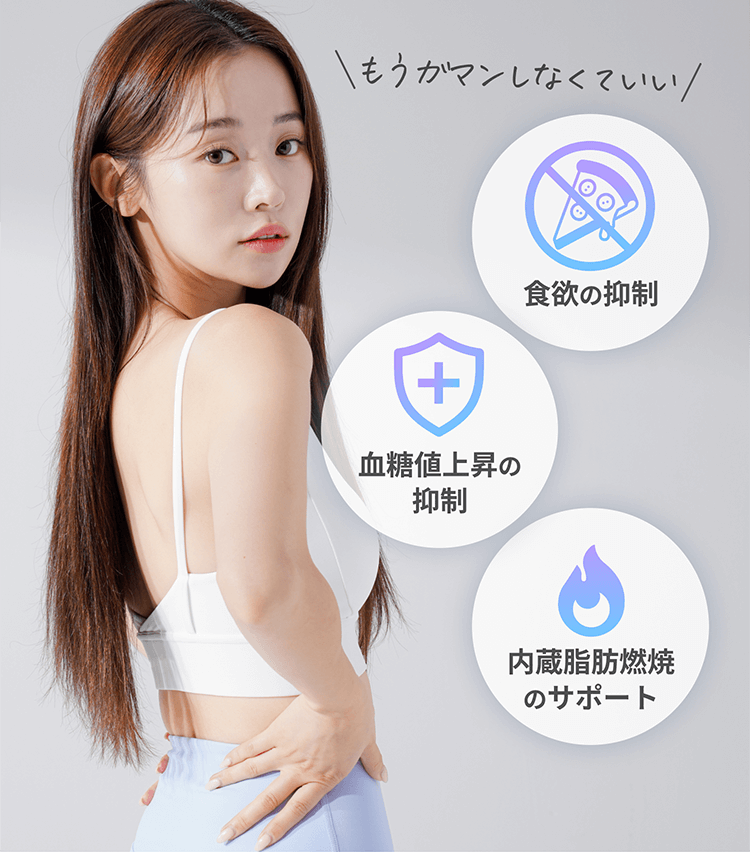 プラス食欲の抑制・血糖値上昇の抑制・内蔵脂肪燃焼のサポート