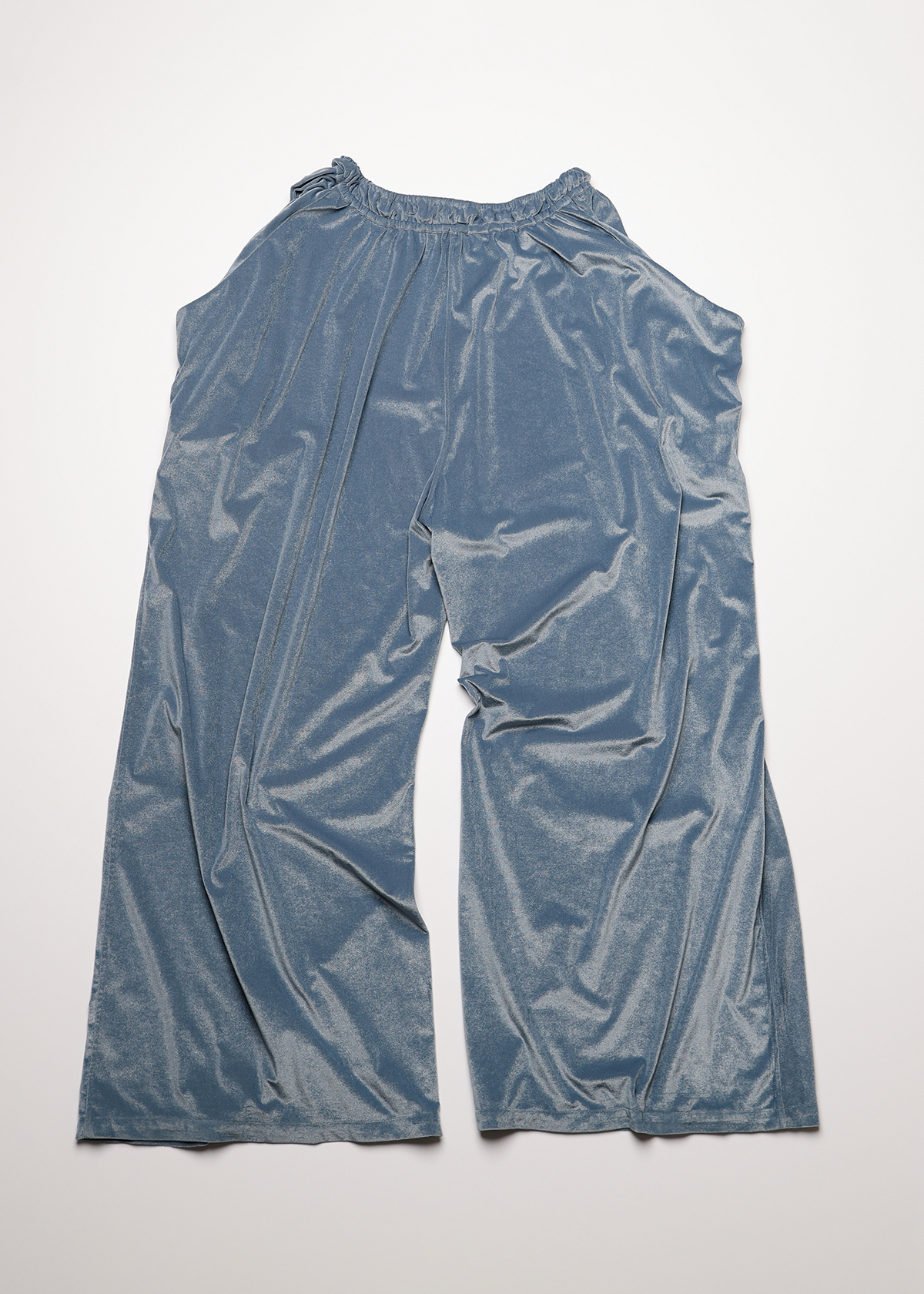 Sheer Velours Easy Pants サイズ: F, カラー: ブルー