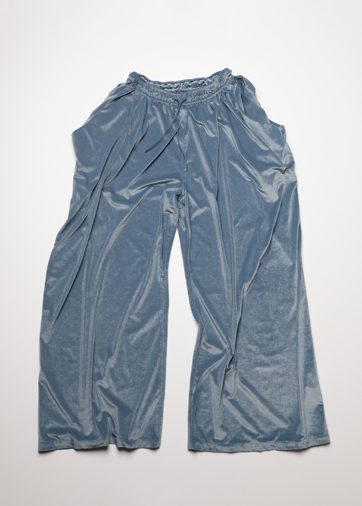 Sheer Velours Easy Pants サイズ: F, カラー: ブルー