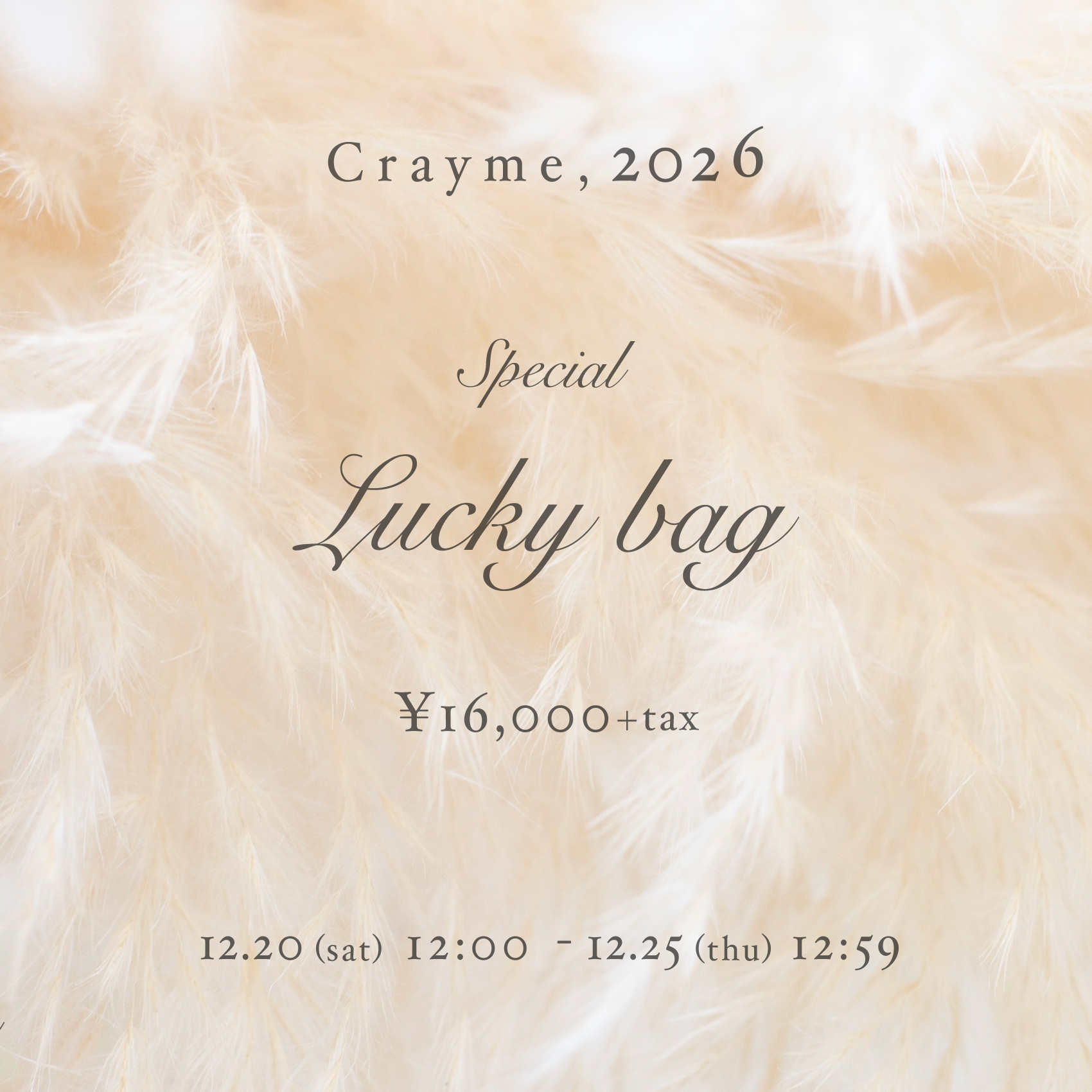 Special Lucky Bag 2026　¥16,000+tax
