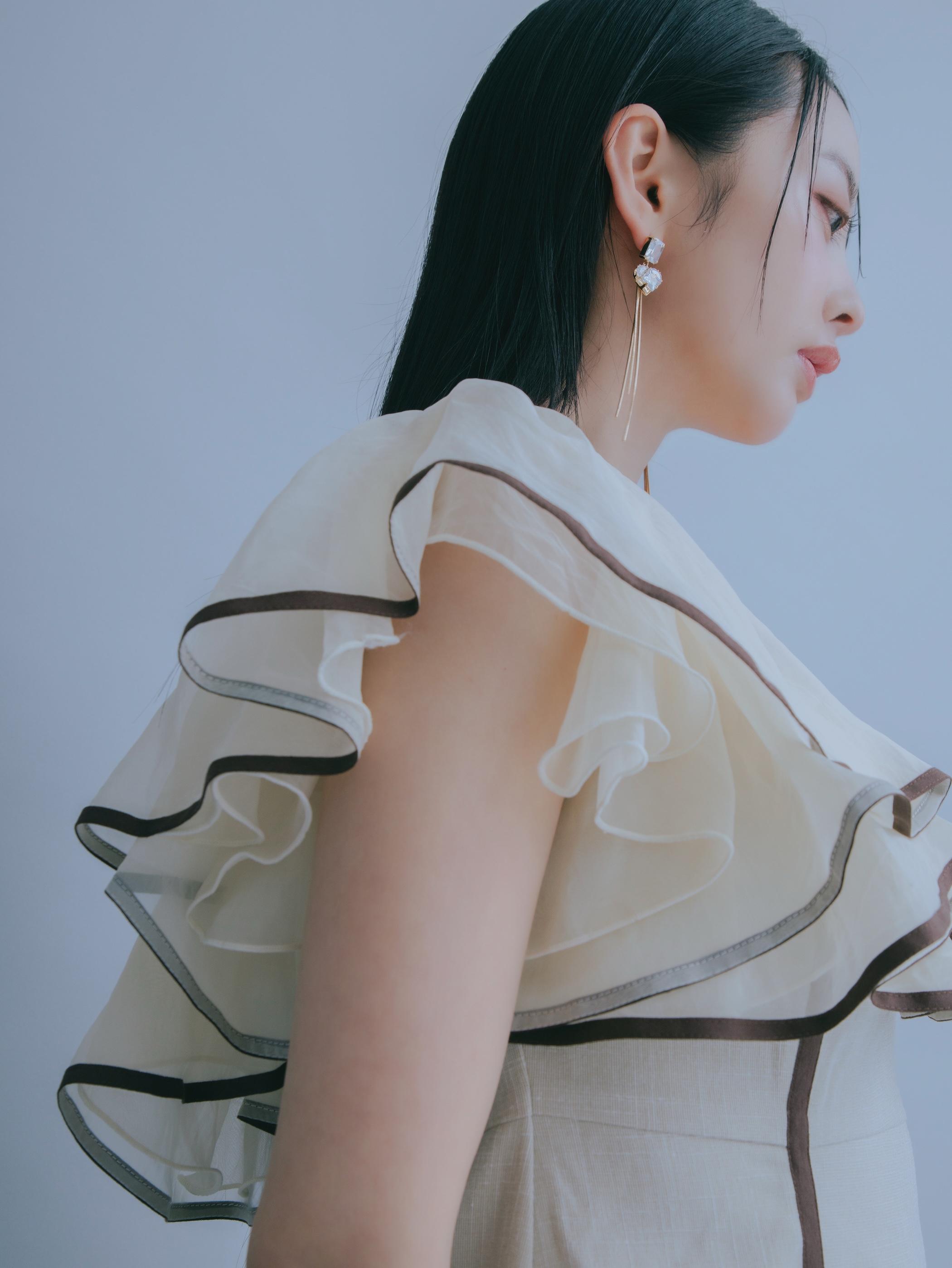 Sheer Frill Piping Dress