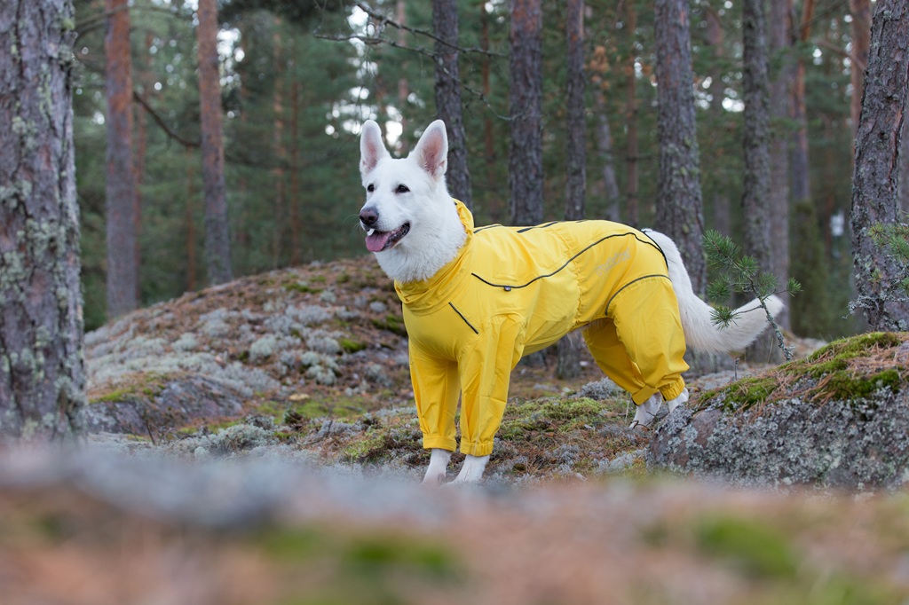 【Rukka Pets】プロテクト オーバーオール レインコート サイズ: 25
