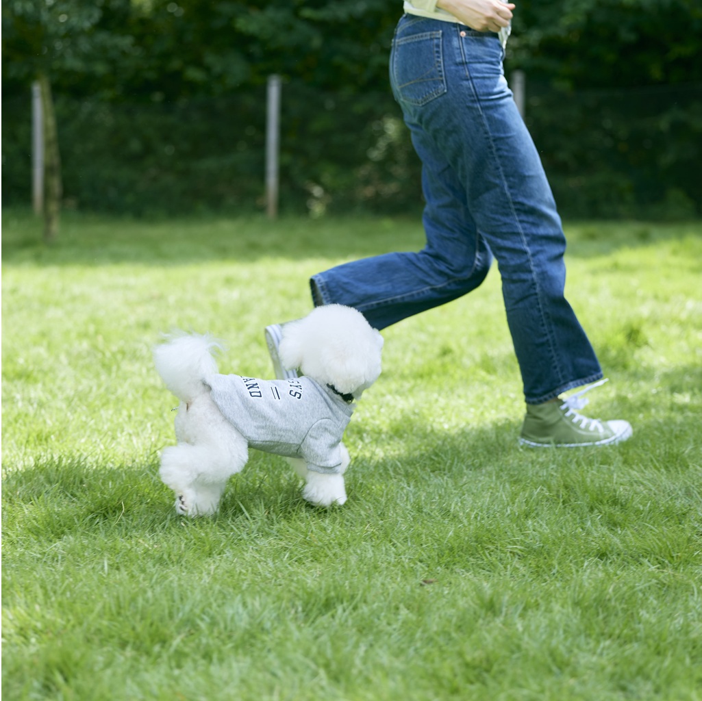 【FIRST】カレッジスウェットクルー 色: グレー, サイズ: XS