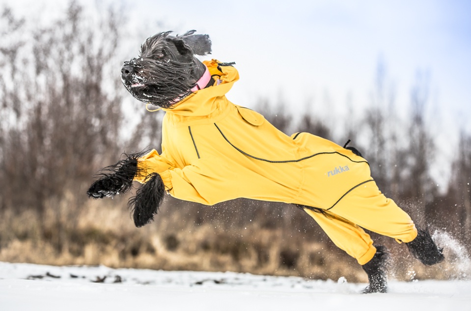 【Rukka Pets】プロテクト オーバーオール レインコート サイズ: 25