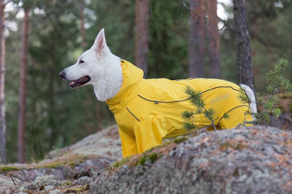 【Rukka Pets】プロテクト オーバーオール レインコート サイズ: 25