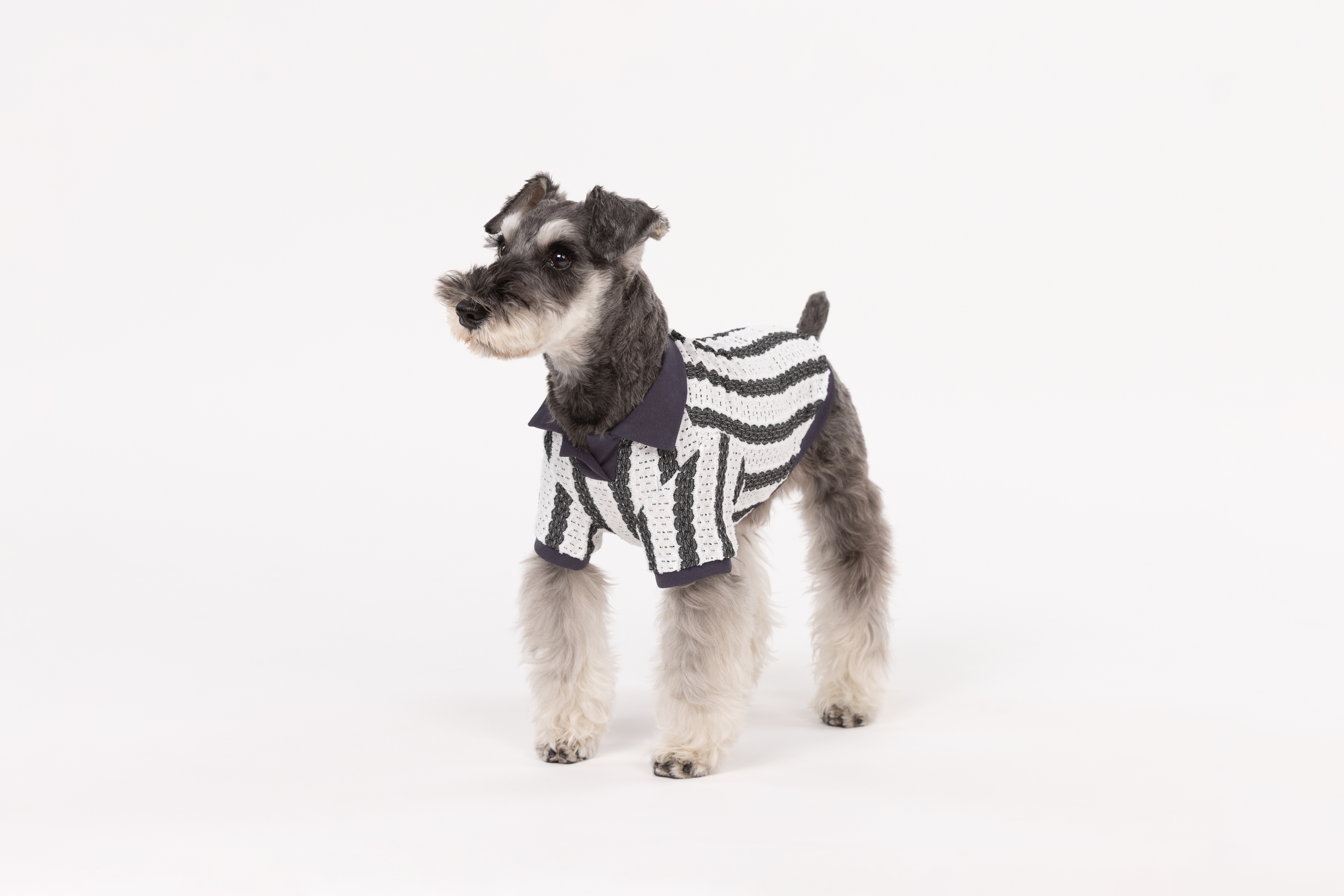 【FIRST】レーススキッパーシャツ 色: WHITE, サイズ: S