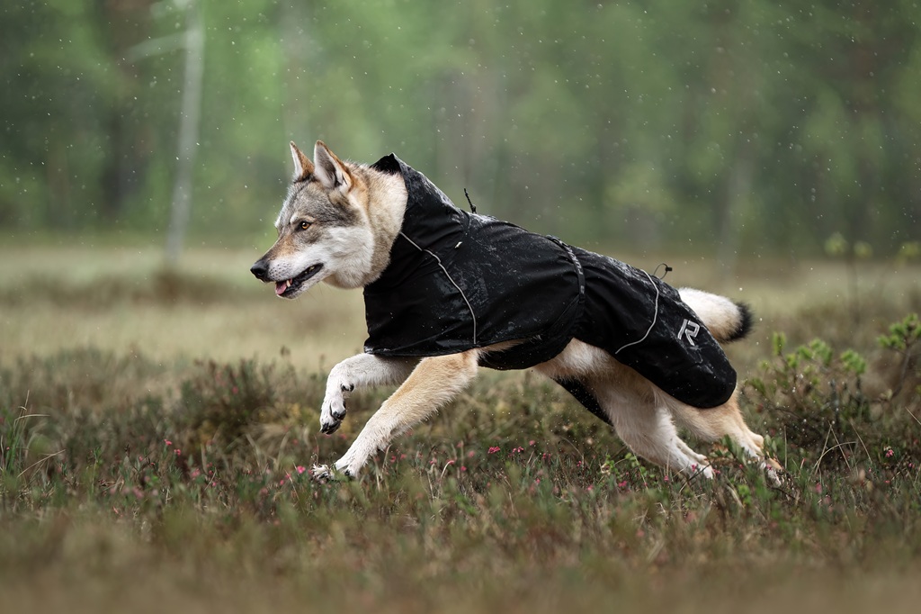 【Rukka Pets】ハイトン X レインコート 色: ブラック, サイズ: 25