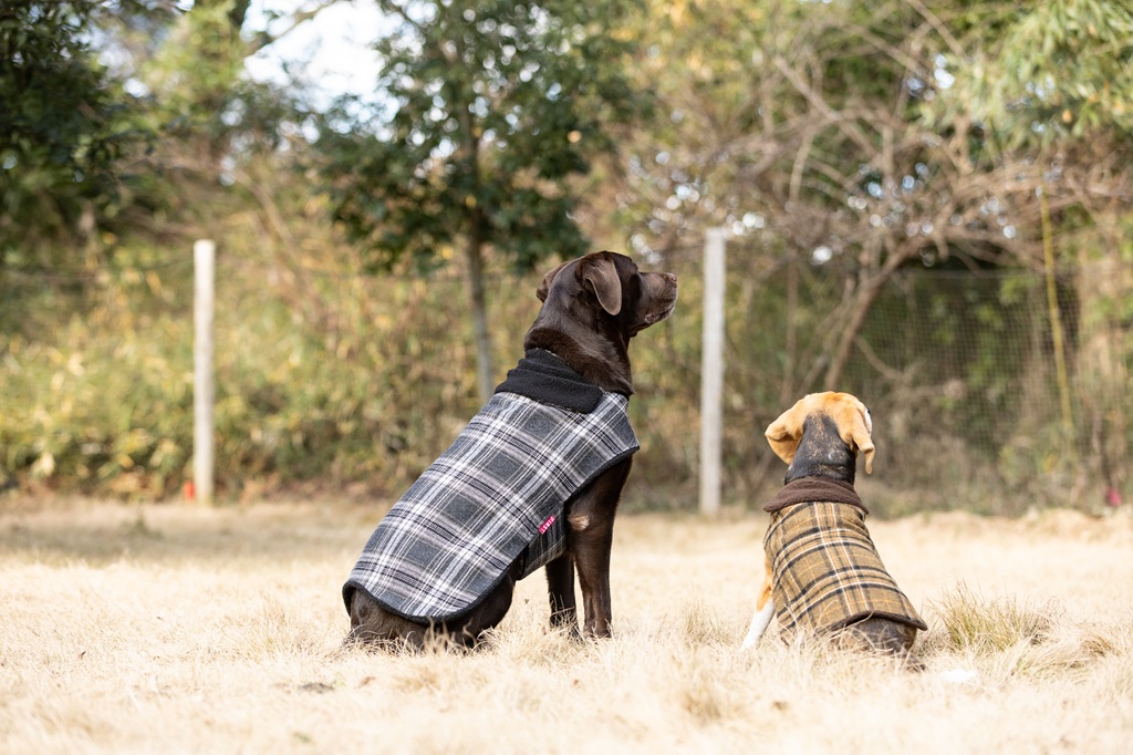 【FIRST】ボアチェックコート 色: ベージュ, 号: 0号