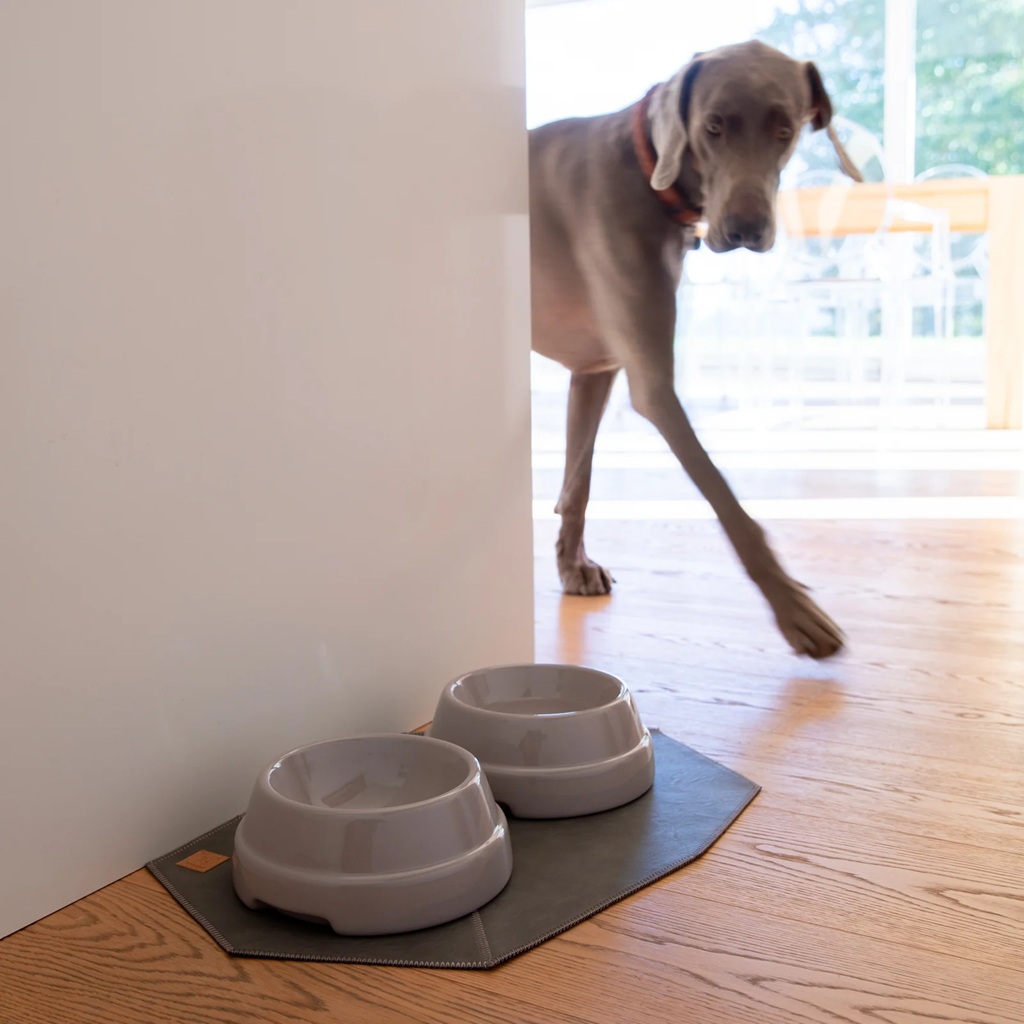 【2.8】SEBASTIAO - DOG BOWL 色: Warm grey, ボウル: S 15 cm