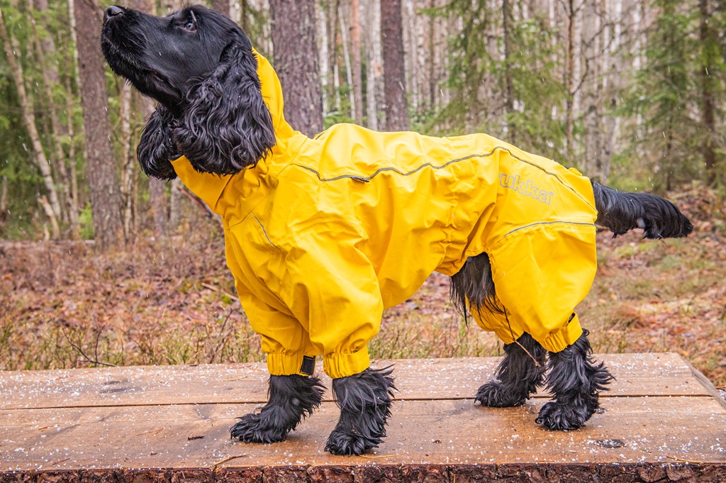 【Rukka Pets】プロテクト オーバーオール レインコート サイズ: 25