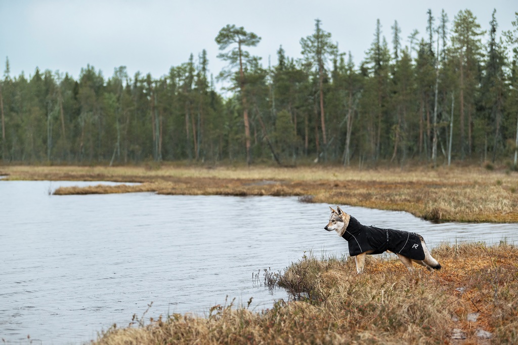【Rukka Pets】ハイトン X レインコート 色: ブラック, サイズ: 25